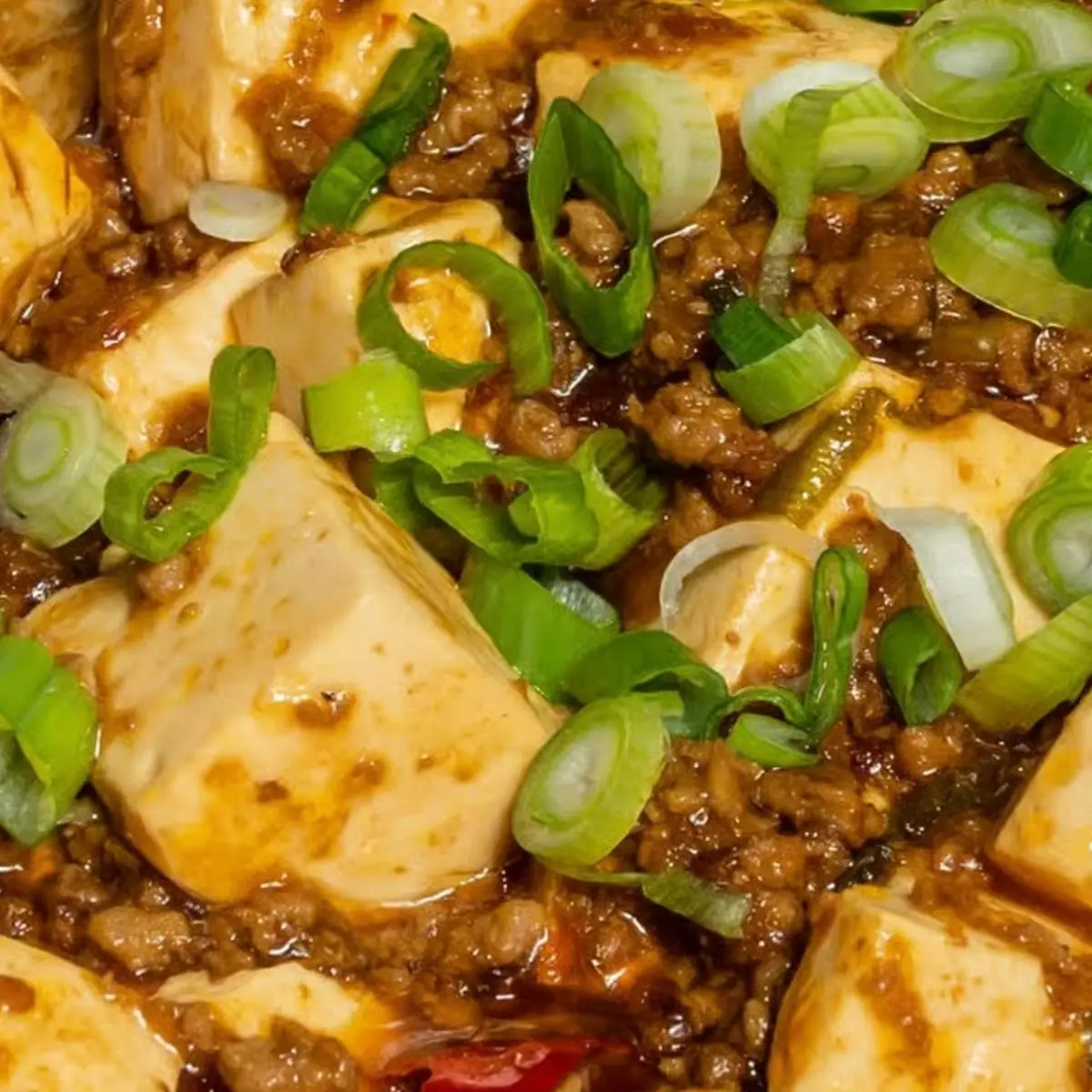mapo tofu 麻婆豆腐